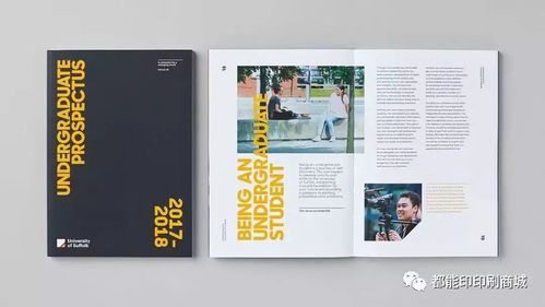 一组精美宣传画册设计欣赏 图文设计制作的艺术与实用指南