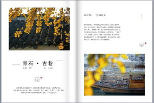 如何快速制作图文旅游相册 金印客免费模板助你轻松设计